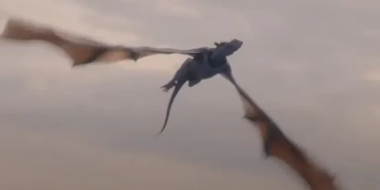 House of the Dragon 2 finale: la spiegazione di tutti gli eserciti schierati alla fine