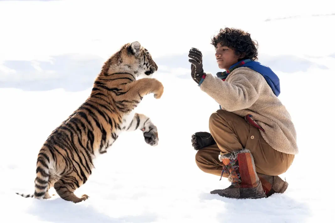 Il ragazzo e la tigre storia vera