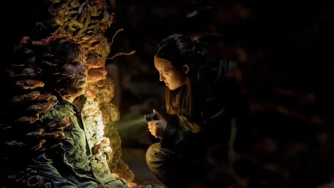 the last of us - season 2 episode 5 the last of us - season 2 episode 5