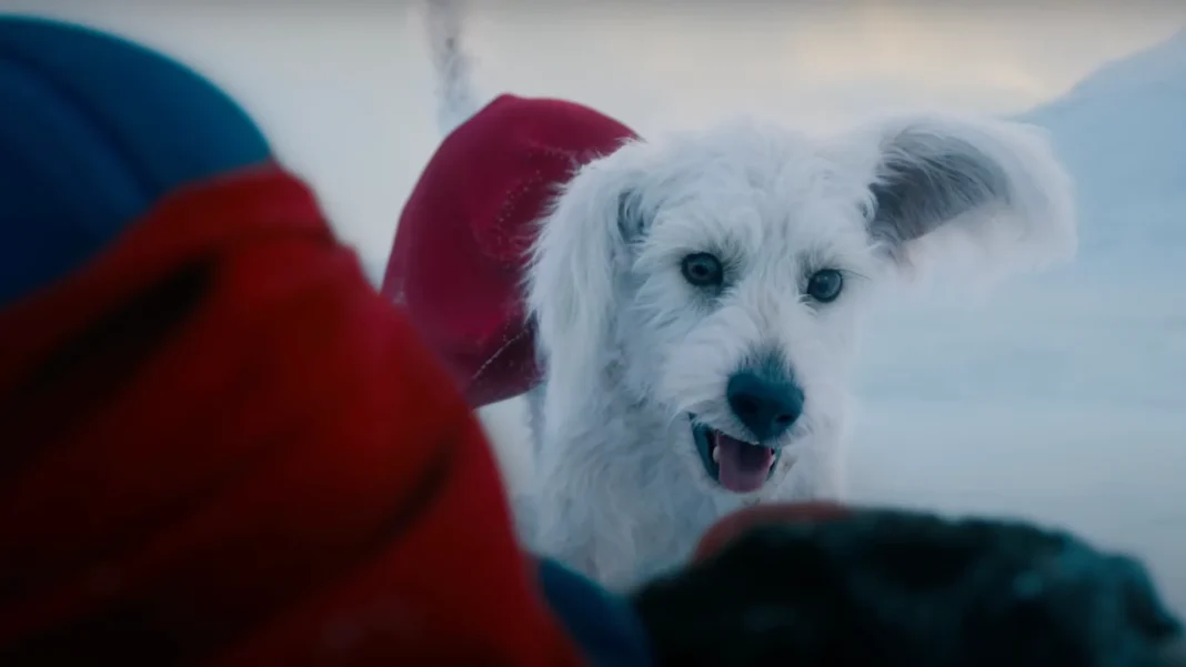 Krypto il SUpercane Cane di Superman