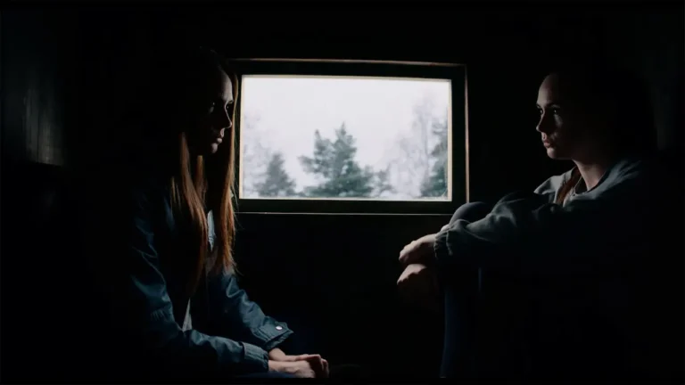 Dual &ndash; Il clone: la spiegazione del finale del film