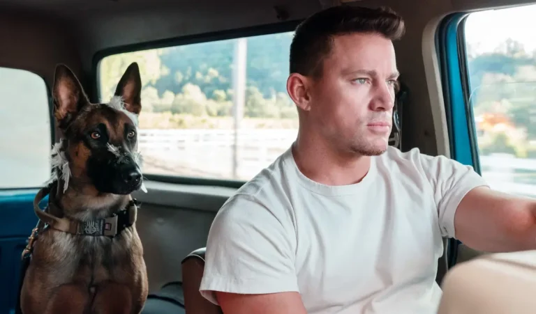 Io e Lulù (Dog), la spiegazione del finale del film di e con Channing Tatum Io e Lulù (Dog), la spiegazione del finale del film di e con Channing Tatum