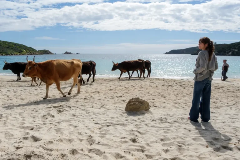 La vita va cos&igrave;: recensione del film di Riccardo Milani &ndash; #RoFF20
