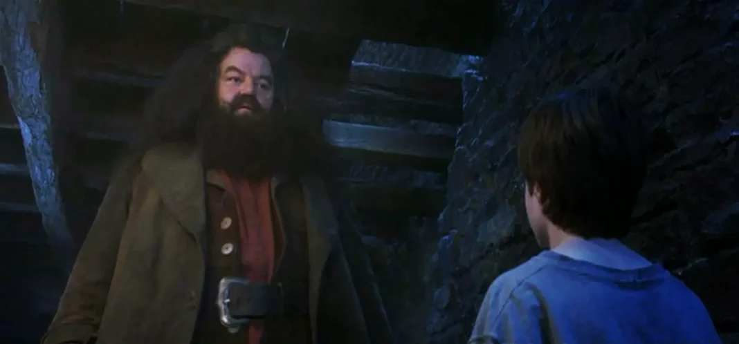 harry potter - la serie