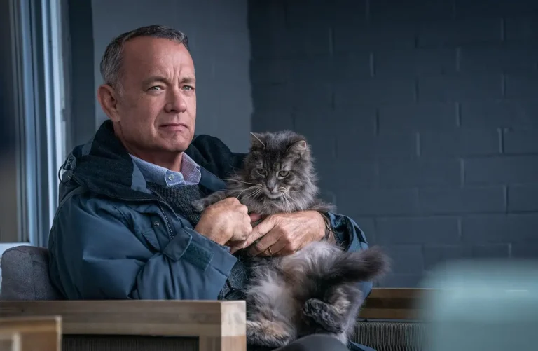 Non così vicino: la spiegazione del finale del film con Tom Hanks Non così vicino: la spiegazione del finale del film con Tom Hanks