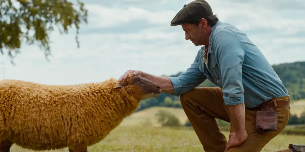 Pecore Sotto Copertura con Hugh Jackman Pecore Sotto Copertura con Hugh Jackman