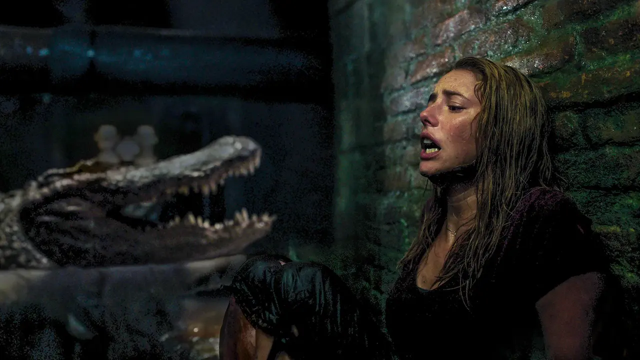 Crawl - Intrappolati spiegazione finale film
