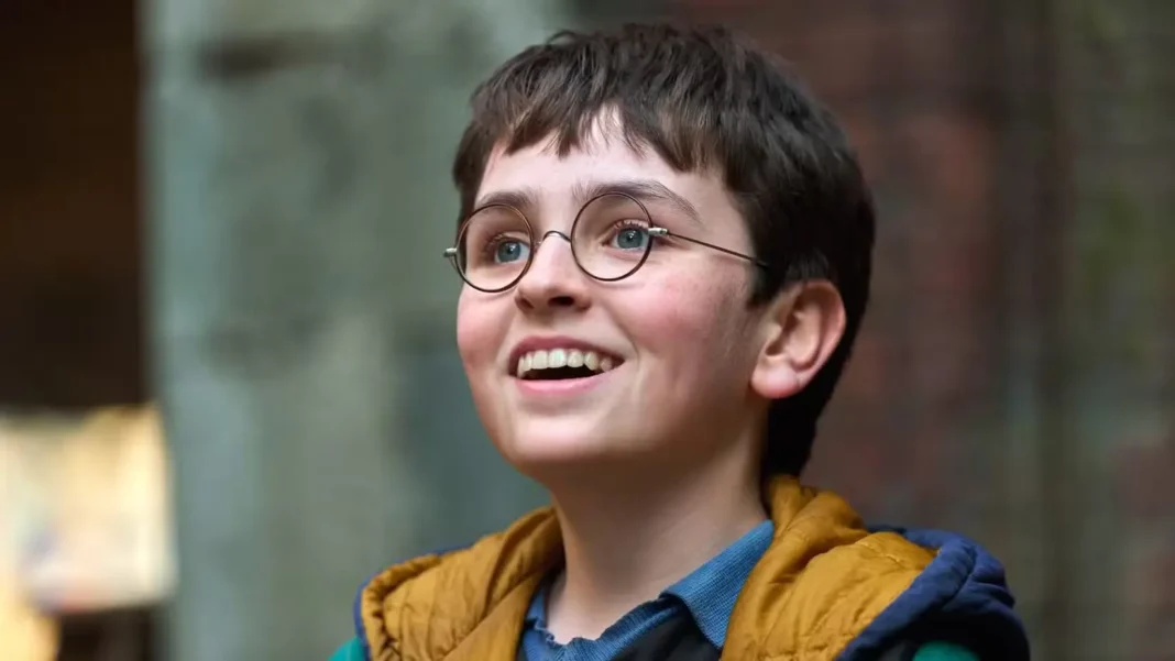 Harry Potter la serie