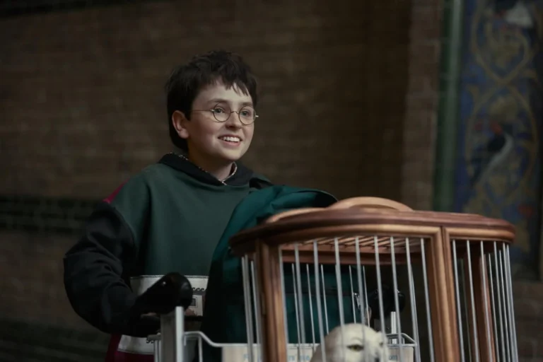 Il trailer di Harry Potter e la Pietra Filosofale &egrave; il pi&ugrave; visto nella storia di HBO e HBO Max