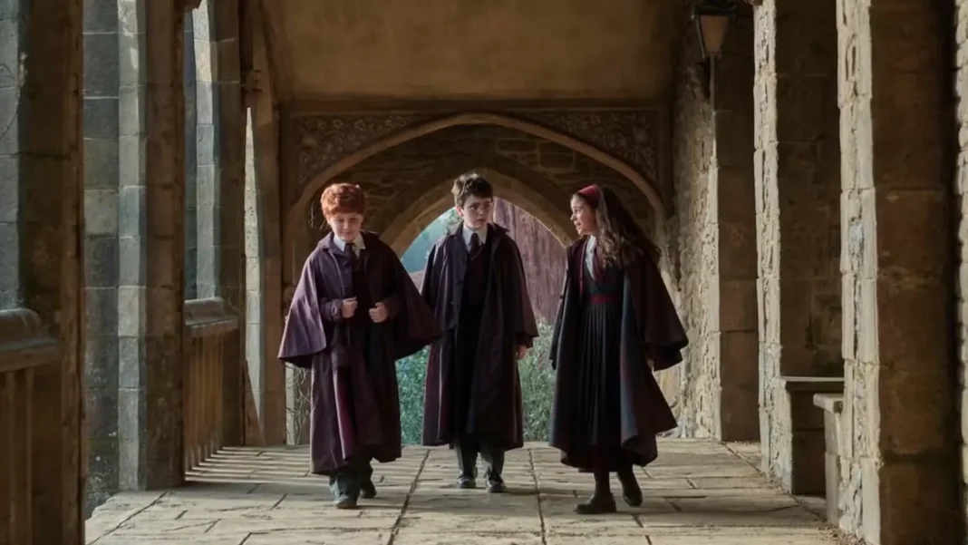 Harry Potter la serie