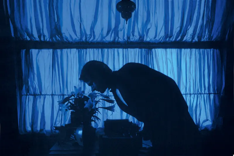 -Reds- il profumo del blu- Storaro
