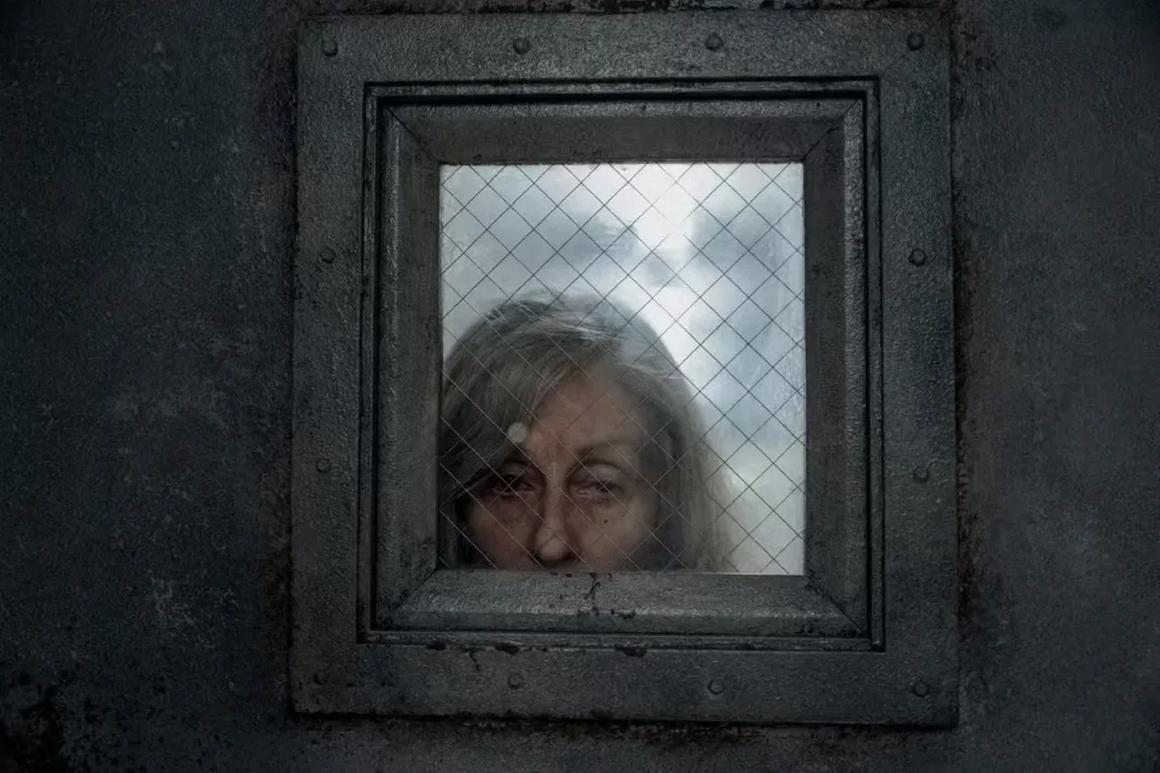 The Terror: Devil in Silver The Terror: Devil in Silver