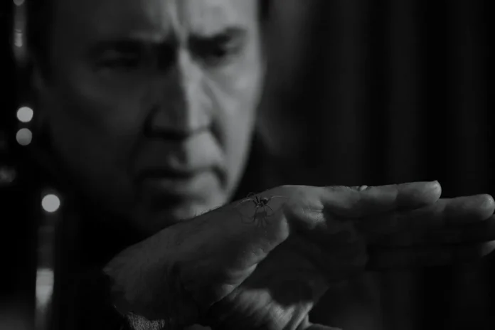 Prime Video_Spider Noir_BN_15 Spider-Noir BN