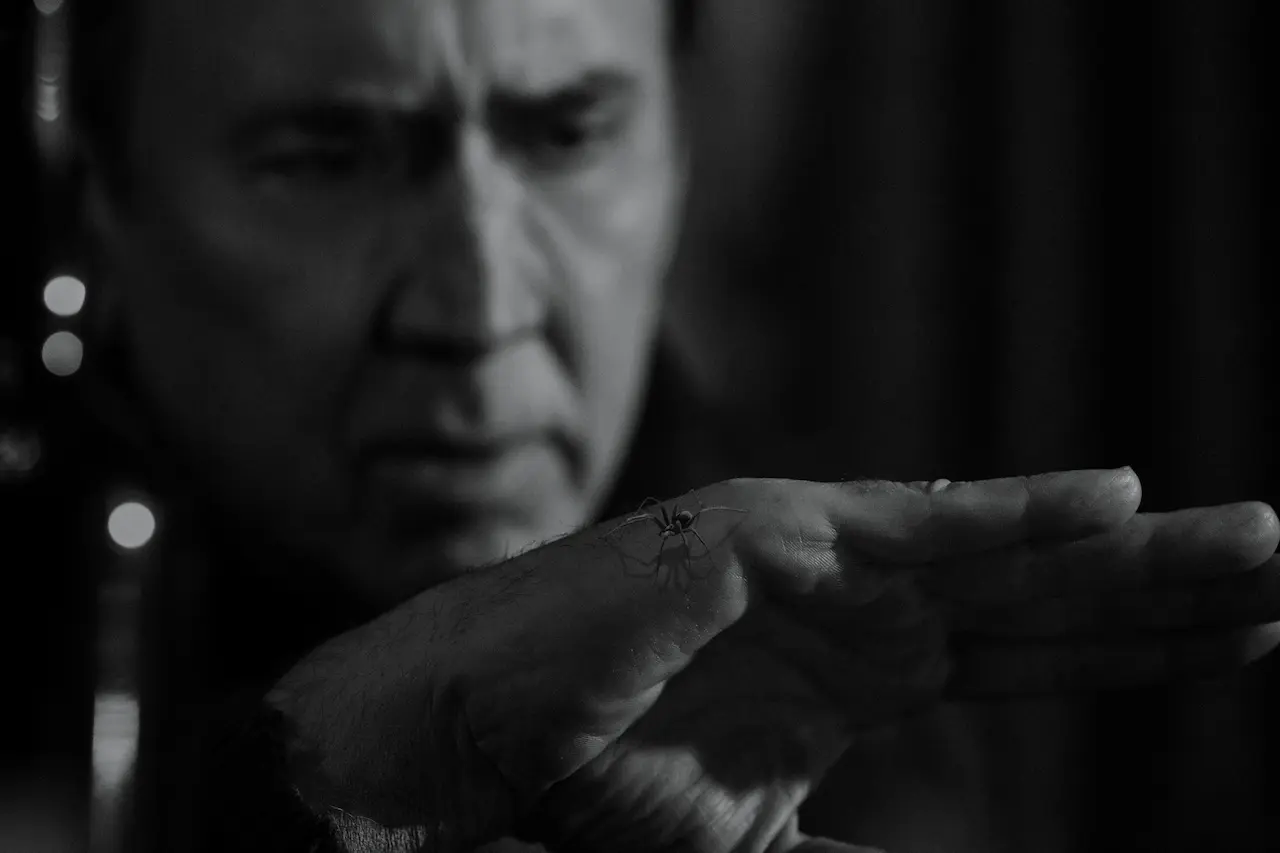 Spider-Noir BN