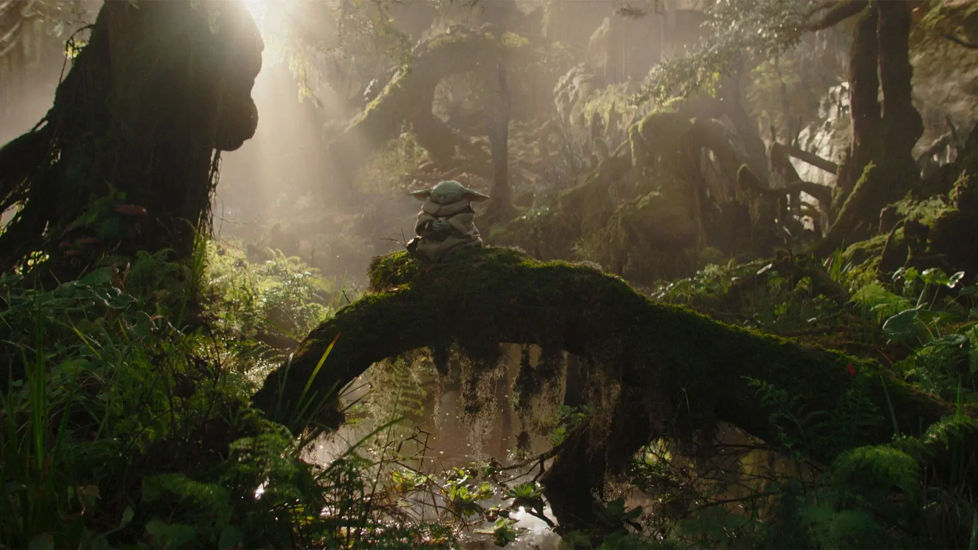 The Mandalorian and Grogu film
