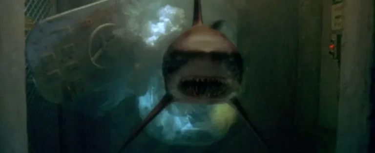 Blu Profondo &egrave; tratto da una storia vera? La verit&agrave; dietro il thriller con gli squali del 1999
