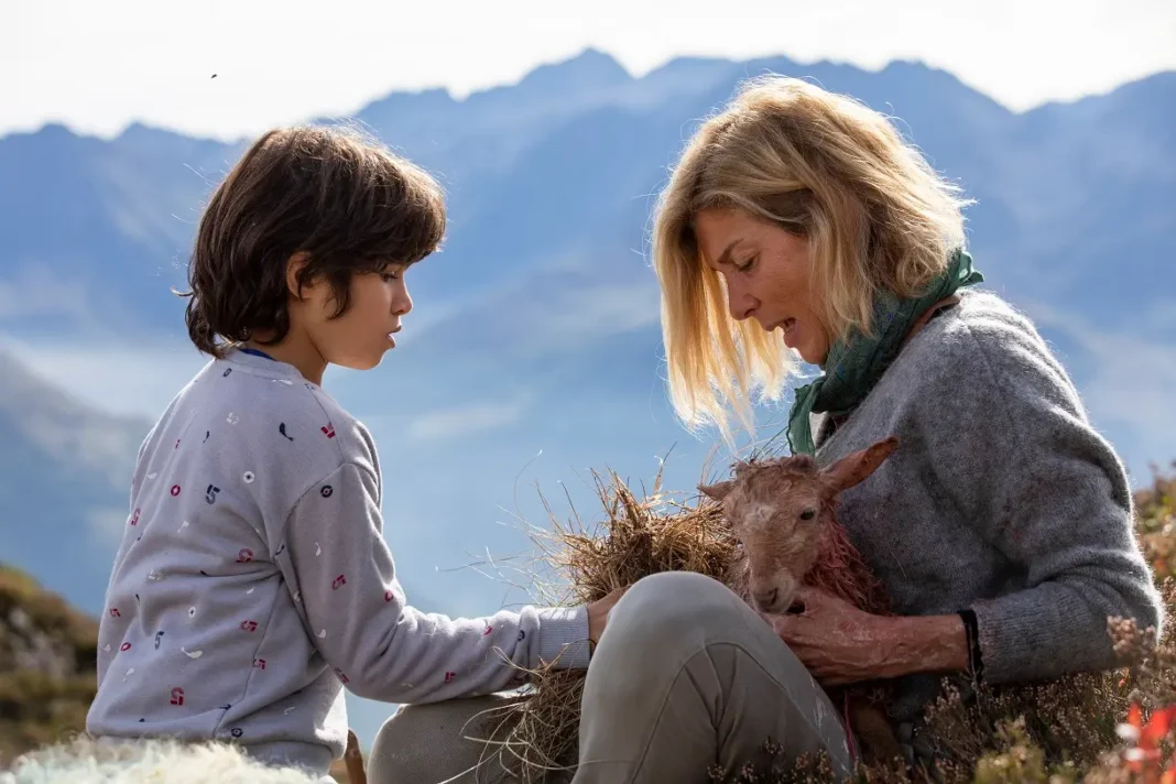 belle e sebastien - next generation belle e sebastien - next generation