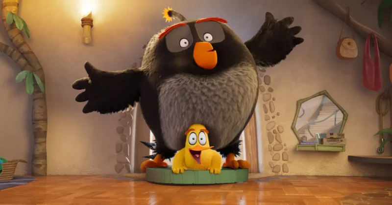 Angry Birds 3 - Terremoto in famiglia