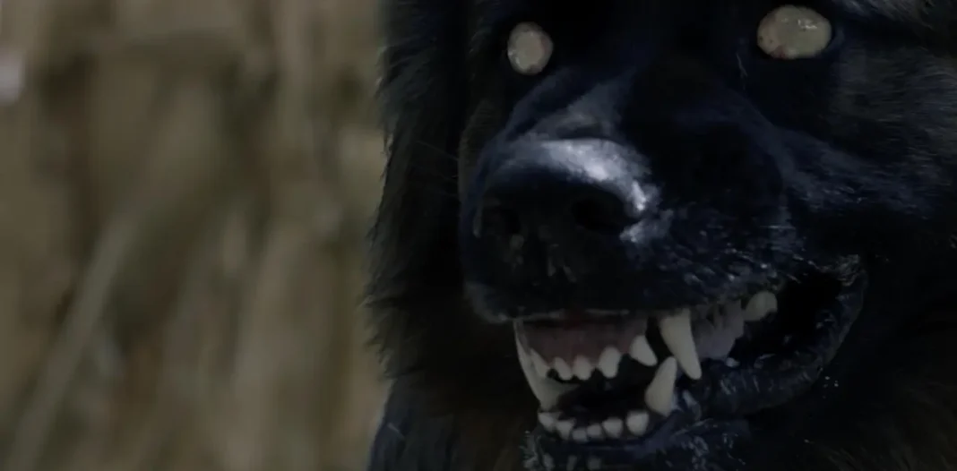 The Dogs spiegazione finale film The Dogs spiegazione finale film