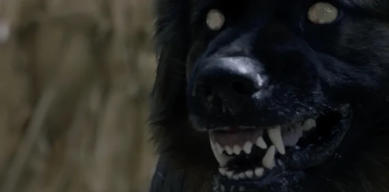 The Dogs: la spiegazione del finale del film