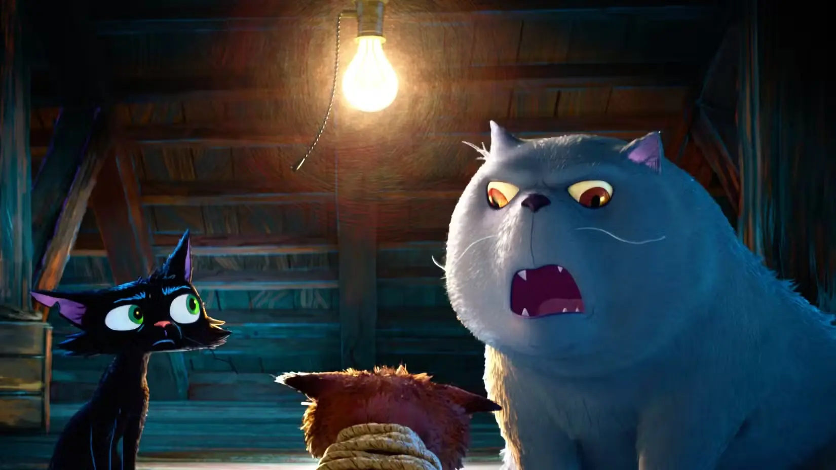 gatto pixar film
